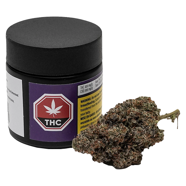 Your Dealer - Not The GovernMINT