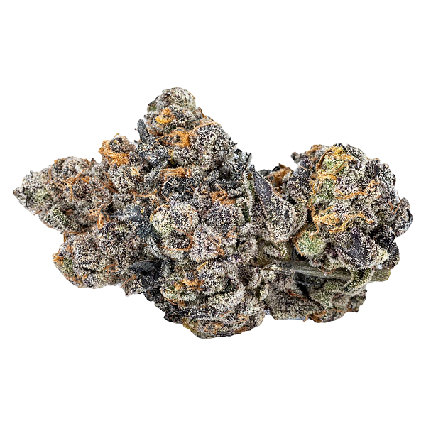 Sixty Seven Sins - Gas Face