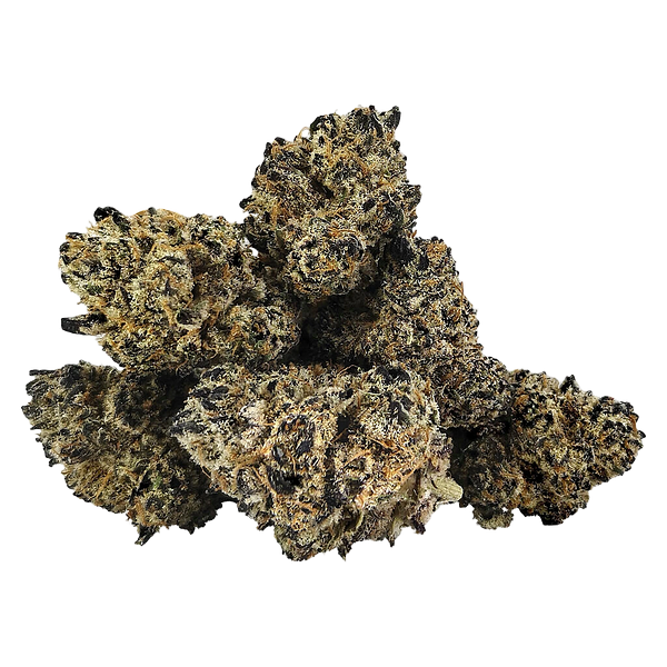 DEALR - Rainbow Fuego