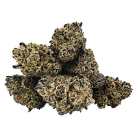 DEALR - Rainbow Fuego