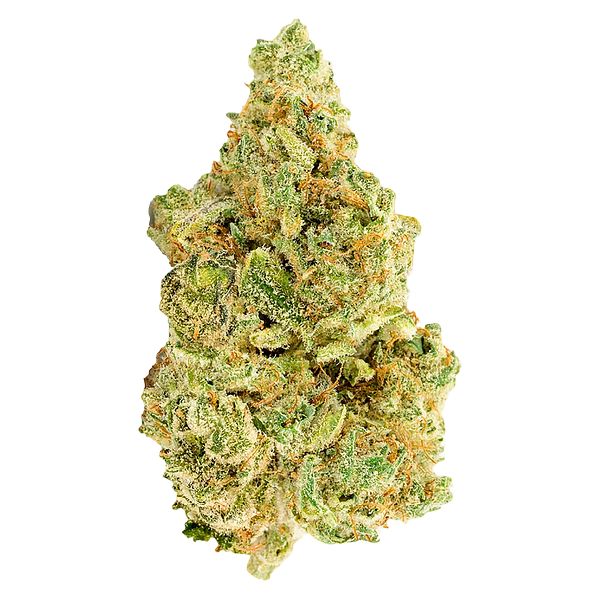 Versus - White Widow