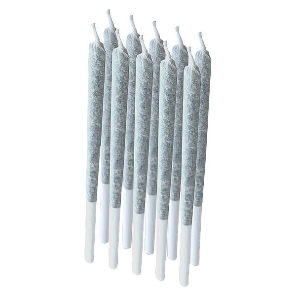 Pixel - Rogue Pre-roll