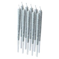 Pixel - Rogue Pre-roll