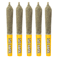 Trippy Sips - Caribbean Crush Kief Coated Infused Pre Roll