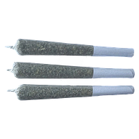 Frost Cannabis - Rotating Strain Pre Roll