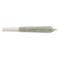 Tam Tams - Tropical Milkshake Pre-roll