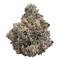 Simply Bare - BC Organic Sunset Runtz