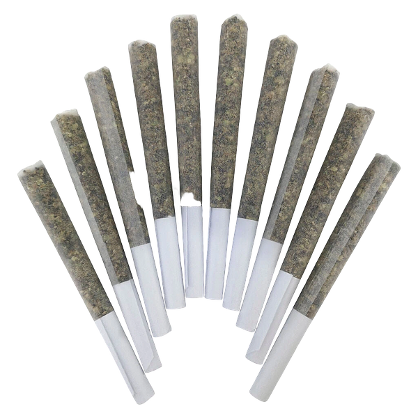 BC Doobies - Genghis Chron Pre Roll