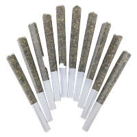 BC Doobies - Genghis Chron Pre Roll