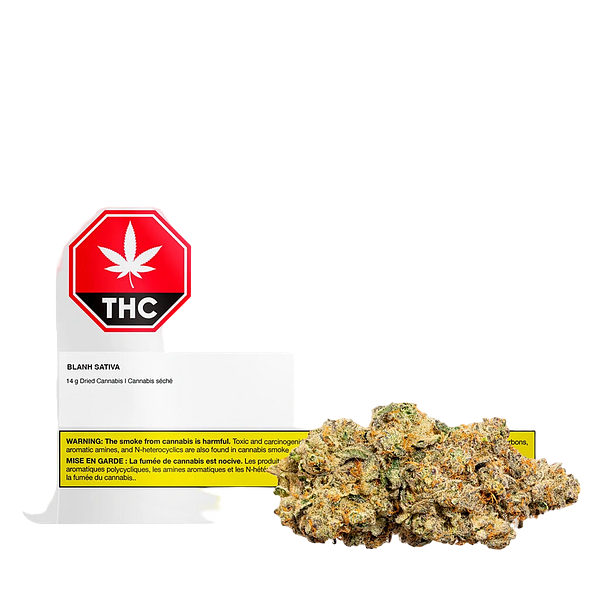 Bleuh - Blanh Sativa