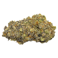 Strain Theory - Gravity Kush