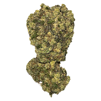 Strain Theory - Quantum Haze