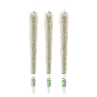 Quad Farmers - Rainbow Sherb 11 Pre-Roll