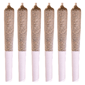 Station House - White Widow Pre Roll
