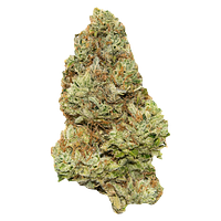 Contraband - Golden Tangie