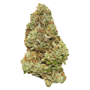 Contraband - Golden Tangie