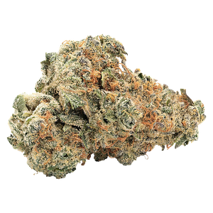 Big Bag O' Buds - Gmo Kush