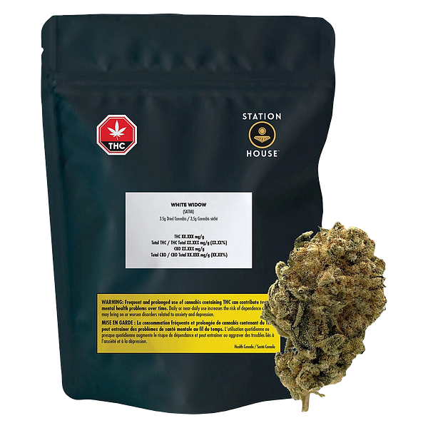 Station House - White Widow