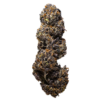 3rd Coast Genetics - The Dark Side