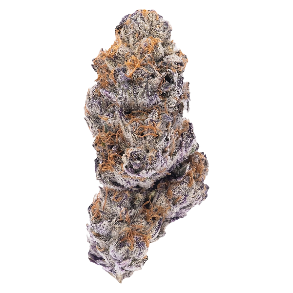 Northern Canna - Hot Rod