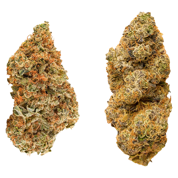 Redecan - Taster Series Variety Pack