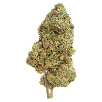 The Republic - Black Label