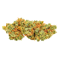 5 Points Cannabis - Red Headed Stranger