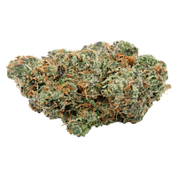 Carmel - Blue Nerd-Z