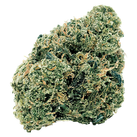 7ACRES - Northern OG Kush