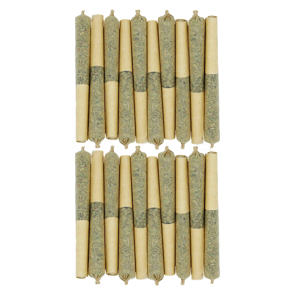 Starting Point! - Star Chase Pre Roll