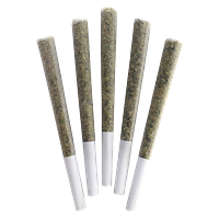 DEALR - Marshmallow Mudslide Pre Roll