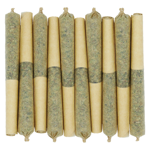 Starting Point! - Star Chase Pre Roll