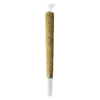 Double J's Terpnami - Pink Donuts Distillate Infused Pre Roll