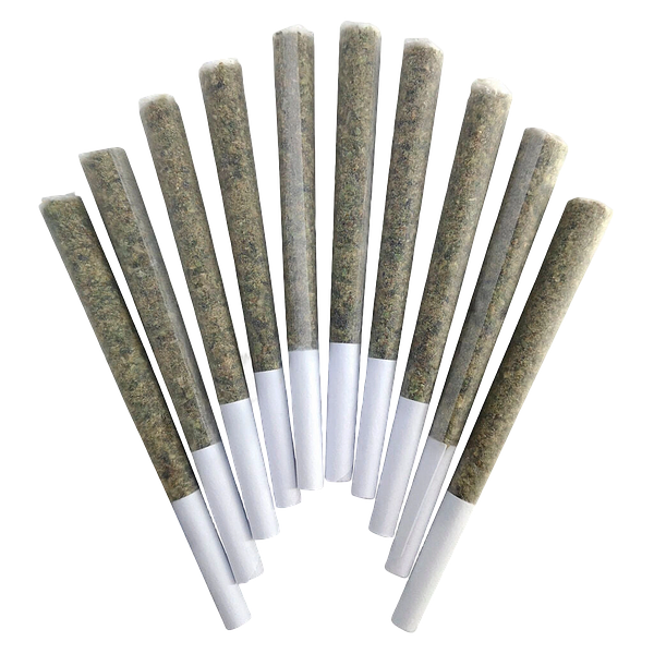 BC Doobies - Blue Maui Pre Roll