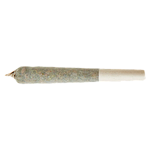 XPLOR Level X - Beast Berry Distillate Infused Pre-Roll