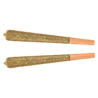 Fuego - Riot Berry Distillate Infused Pre-Roll