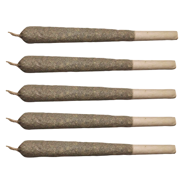 Can We -  Sativa Peace Pack