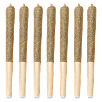 Bud Lafleur - Dante'z Inferno Pre-Roll