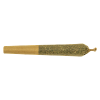 7ACRES - Northern Og Kush Pre-Roll