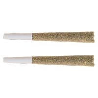 The Republic - Black Label Pre-Roll