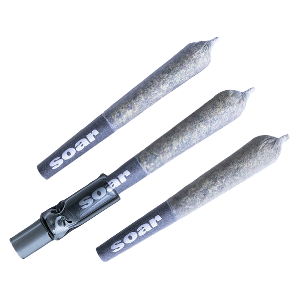 Soar - Death Punch Pre-Roll