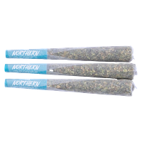 Northern Canna - Hot Rod Pre-Roll