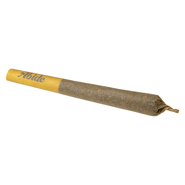 Abide - Mango 1:1 Pre-Roll