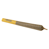 Abide - Mango 1:1 Pre-Roll