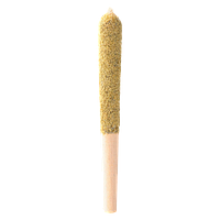 Tenzo - Pineapple Zktlz Double Hash Infused Pre-Roll