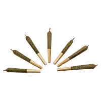 TICAL - The Bliss - Hybrid Pre-Roll