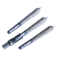 Soar - Brain Cake Pre Roll