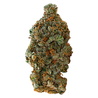 Versus - Gsc (Girl Scout Cookies)