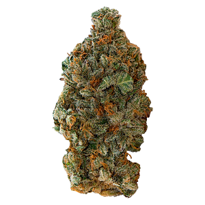 Versus - Gsc (Girl Scout Cookies)