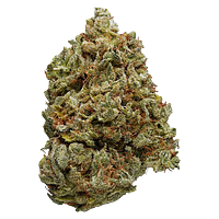 Simply Bare - BC Organic Lemon Loopz